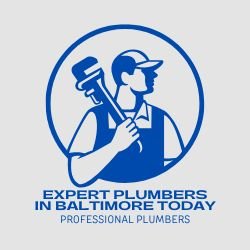 plumbersinbaltimore.com logo